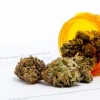 DOI Takes Steps to Curb Growing Opioid Crisis