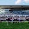 La Pista de Carreras de Arlington Park se Suma a tu Verano