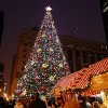 La Ciudad de Chicago Busca el Arbol de Navidad Perfecto