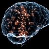 Prenda su Cerebro