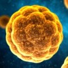 Illinois Department of Public Health Launches Targeted Vaccination Effort to Help Prevent Outbreaks