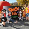 Brookfield Zoo’s Annual Boo! at the Zoo Extends Halloween Fun