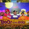 El Boo! Anual de Brookfield Zoo en el Zoológico Aumenta la Diversión de Halloween