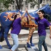 Applications Now Open for Teens for After School Matters Spring Programs