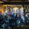 La Ultima Noche de Holiday Magic con la Celebración de la Víspera del Año en el Zoológico de Brookfield Zoo