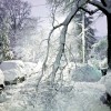 ComEd: Power Grid Ready to Serve Customers this Winter