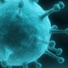 The Influenza Pandemic