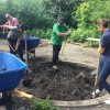 Spotlight: Friends of the Parks