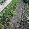Aprende a Crear Hermosos Paisajes