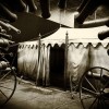 Hamilton: La Exhibición