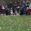 Eggs Up for Grabs in the South Loop