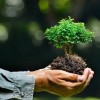 Ways Art Brings Awareness to Environmental Concerns