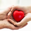 Los Corazones Sanos Necesitan Dos Proteínas Trabajando en Forma Conjunta