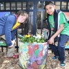 Lincoln Park Zoo, el Shedd Aquarium y Brookfield Zoo anuncian Eventos Familiares en Pro del Ambiente