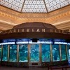 Programa de Aprendizaje Familiar del Shedd Aquarium