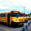 School Districts Offer Free Transportation for Students Who Walk through Areas with Criminal Gang Activity