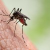 CDPH to Reduce Threat for Residents