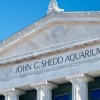 Acceso Gratis a la Naturaleza en el Acuario Shedd