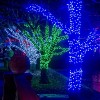 Brookfield Zoo Lights up for the 38th Year of Holiday Magic