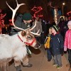 El Zoológico de Brookfield se Ilumina en el 38º Año de Magia Navideña