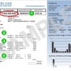 Financial Assistance Available to Eligible Peoples Gas and North Shore Gas Customers