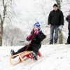 Disfrute de Actividades, Eventos y Programas de Invierno Toda la Temporada en las Reservas Forestales del Condado de Cook