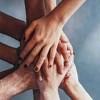 The Chicago Community Trust Looking to Support Organizations Leading Social Change