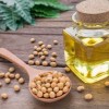 America’s Most Consumed Oil Causes Genetic Changes in the Brain