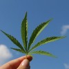 Pritzker Administration Announces First Month Sales Totals for Adult Use Cannabis