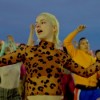 Se Pospone el Festival de Cine Latino