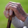 City Addresses Senior Population Amid COVID-19