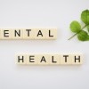 Mental Health Tsunami