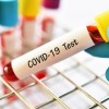 Berwyn Public Health District Brings Free COVID-19 Testing to City