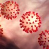 29 Condados de Illinois en Nivel de Advertencia por el Coronavirus