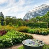 Last Chance to Enjoy Monet’s Garden at the Garfield Park Conservatory