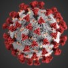 More Than 9,000 COVID-19-associated Deaths Reported in Illinois