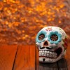 Get in the Spooky Spirit