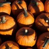 Illinois Department of Public Health Issues COVID-19 Halloween Festivities Guidance