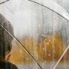 Manage Seasonal Depression