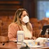 Villanueva Passes Legislation to Create Domestic Violence Commission