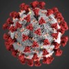 Freeing the People Immune to the Pandemic
