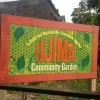 NHS, Guaranteed Rate Join Residents in West Humboldt for Beautification Project