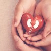 Illinois Kidney Care Alliance Celebra la Expansión del Acceso a la Atención Médica