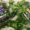 Public Health Officials Warn Salmonella Outbreak Linked to Sunny Crunch Salad