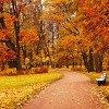 Experience the Fall Season