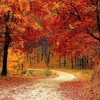 Fall Outdoor Adventures in the QC