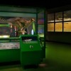 Nueva Exhibición del Museo da a los Visitantes una Probadita de Como los Animales Saltan, Nadan y Vuelan