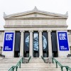 New Museum Exhibit Gives Visitors Sneak Peek at How Animals Jump, Swim, and Fly