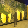 ‘Walk Through the Rainbow’ at the Field Museum