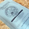 The Fate of Amendment 1